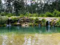 Cascate naturali nella valle di Cadore, con acqua cristallina che scende tra rocce e vegetazione rigogliosa, circondate da un bosco di pini.