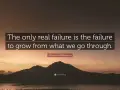 The only real failure is the failure to grow from what we go through. Marianne Williamson.