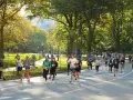 I partecipanti alla maratona di New York corrono lungo un viale alberato in una giornata autunnale, con il sole che filtra tra le foglie dorate.