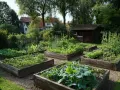Ein moderner Bauerngarten mit Hochbeeten voller Gemüse und Kräuter. Im Hintergrund ein kleines Holzhaus und Bäume.