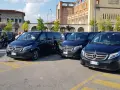 Flotta di Mercedes nere pronte per il transfer aeroporto Treviso. Autisti in attesa.
