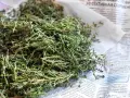 Suszone zioła, idealne jako zamiennik czubrycy. Wzbogać swoje dania aromatem!