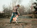Persona interactuando con su perro, practicando trucos. Un buen momento para aplicar 40 trucos para tu perro y fortalecer su vínculo.