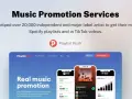 Playlist Push: Musikpromotion-Erfahrungen. Website zeigt, wie über 20.000 Künstler Musik auf Spotify & TikTok promoten.