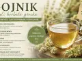 Gojnik, czyli herbata górska, pomaga na odporność, układ oddechowy, trawienie i nerwy. To naturalne wsparcie każdego dnia.