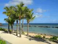 Rajskie plaże Mauritiusa z palmami kołyszącymi się na wietrze i turkusową wodą.