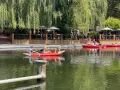 Ein Hund steht auf einem Kajak am Neuendorfer See, während Menschen im Wasser paddeln. Im Hintergrund eine Terrasse mit Gästen.