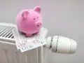 Różowa świnka-skarbonka na grzejniku z polskimi banknotami. Symbol oszczędzania na ogrzewanie, być może zapowiedź bonu ciepłowniczy.