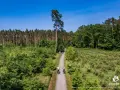 Dwie osoby na rowerach przemierzają leśne trasy rowerowe. Droga wiedzie przez gęsty las i polany.