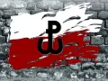 Polska walcząca symbol kotwicy na tle biało-czerwonej flagi, symbolizującej opór i nadzieję.
