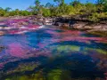 El río Caño Cristales, un espectáculo natural con aguas cristalinas y algas de vibrantes colores rojo, rosa y verde, rodeado de vegetación exuberante.