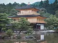Złoty Pawilon w Kioto, Japonia. Wspaniałe miejsce, które warto zobaczyć, otoczone zielenią i odbijające się w stawie.