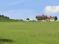 Zielone łąki, dom na wzgórzu i krowy. Idealne miejsce na budowę domu, a ceny działek budowlanych na wsi mogą być atrakcyjne.