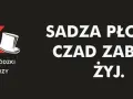 Kominiarz nie wystawi mandatu! Kto i za co ukarze za stan komina?
