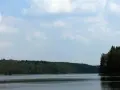Rezerwat przyrody Bachotek - odkryj jego unikalne piękno i przyrodę