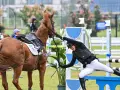 Une cavalière chute lors de l'épreuve d'équitation du pentathlon moderne, son cheval s'arrête brusquement.