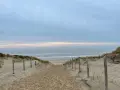 Spiagge Amsterdam: Guida alle Mete Vicine (Zandvoort, Scheveningen)