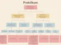 Flussdiagramm zum Praktikum von Studierenden: Unterscheidung nach vorgeschrieben/nicht vorgeschrieben, mit/ohne Entgelt, Verdienstgrenzen und sozialversicherungspflichtig.