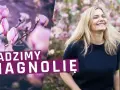 Kiedy sadzi się magnolie, aby uniknąć błędów i zapewnić wzrost