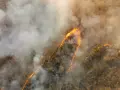 Globalne emisje CO2: Rekordy, liderzy, prognozy. Czy zatrzymamy wzrost?