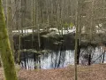 Rezerwat przyrody Lubygość: piękne krajobrazy i unikalna fauna