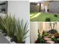 Idee per come abbellire un giardino con pochi soldi: piante decorative, ghiaia bianca e sentieri in pietra creano un angolo verde accogliente.