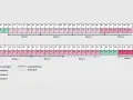 Kalender zeigt, wie lange man krankgeschrieben werden kann. Grün: Arbeitsfähigkeit. Rosa: Krankheit A, B, C. Strich: Entgeltfortzahlung. Gepunktet: Krankengeld.