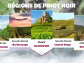 Cinq régions viticoles célèbres pour le pinot noir : Californie, Nouvelle-Zélande (Marlborough et Central Otago), France (Bourgogne) et Argentine (Mendoza).