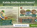 Mann sät Rasen nach, um kahle Stellen im Rasen zu beheben. Ursachen wie Krist, Staunässe, Brandflecken und Hundeurin werden gezeigt.
