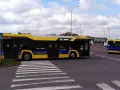 Autobus 262 z napisem "Dużo radości!" zbliża się do przejścia dla pieszych. Sprawdź autobus 136 rozkład jazdy.