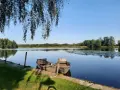 Zwei Ruderboote liegen am Ufer des Schwaigfurter Weihers. Über ihnen hängen Birkenzweige im sanften Licht.
