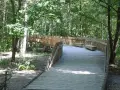 Rezerwat przyrody Olszynka Grochowska – historia, natura i atrakcje