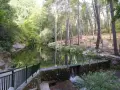 Un sereno camino de san pedro bordea un estanque rodeado de pinos. Un pequeño puente con una cascada conecta los senderos.