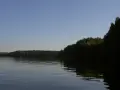 Spokojna tafla wody odbija zielone drzewa na brzegu. Zalew Koronowski w letnim słońcu.