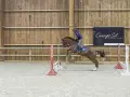 Cavalier et cheval sautent un obstacle dans un manège couvert, rappelant l'ambiance du lido de Camaiore.