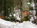 Znak szlaku wskazuje drogę na Kowadło i Orłowiec. W oddali widać zimowy las i zasypany śniegiem szlak.