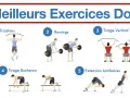 Illustration des meilleurs exercices pour le dos, incluant tractions, rowings, tirage vertical, tirage bûcheron et un exercice lombaire.