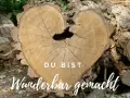 Herzförmiger Baumstamm mit Jahresringen, der an Psalm 139,14 erinnert: "Ich danke dir dafür, dass ich auf wunderbare Weise gemacht bin.