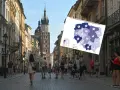Jaki VAT na nocleg? Uniknij błędów! Stawki 8% i 23% w turystyce