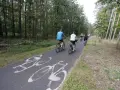 Grupa rowerzystów przemierza leśne trasy rowerowe Bydgoszcz. Ścieżka jest oznakowana symbolami rowerów.