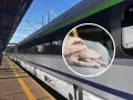 Kto może skorzystać z ulgowych biletów PKP? Sprawdź, jakie są zasady