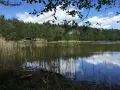 Spokojne jezioro Tuczno otoczone lasem, z trzcinami na brzegu i odbijającymi się chmurami w wodzie.