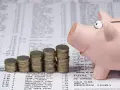 Po ile świnie w skupie - aktualne ceny i prognozy spadku wartości