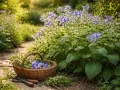 Ein Korb mit frisch geschnittenen Kräutern und blauen Blüten, darunter ein zarter borretsch keimling, liegt neben einer Gartenschere auf einem Steinweg.