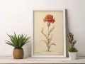 Ilustración botánica de una flor de sagitario, un clavel anaranjado, enmarcada.