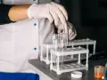 Laborant med handskar hanterar provrör. Kanske för att ta testosteron eller analysera andra prover i labbet.