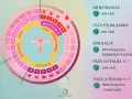 Cykl menstruacyjny: faza folikularna, owulacja i faza lutealna. Schemat cyklu z podziałem na fazy i zalecenia dietetyczne.
