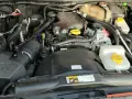 Jeep Wrangler jaki silnik wybrać? Kluczowe różnice i porady