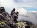 Une femme et son husky profitent d'une vue imprenable sur les nuages lors d'une randonnée.