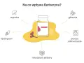 Berberyna wspiera proces odchudzania, reguluje glikemię, lipidogram, wątrobę i mikrobiom jelitowy.